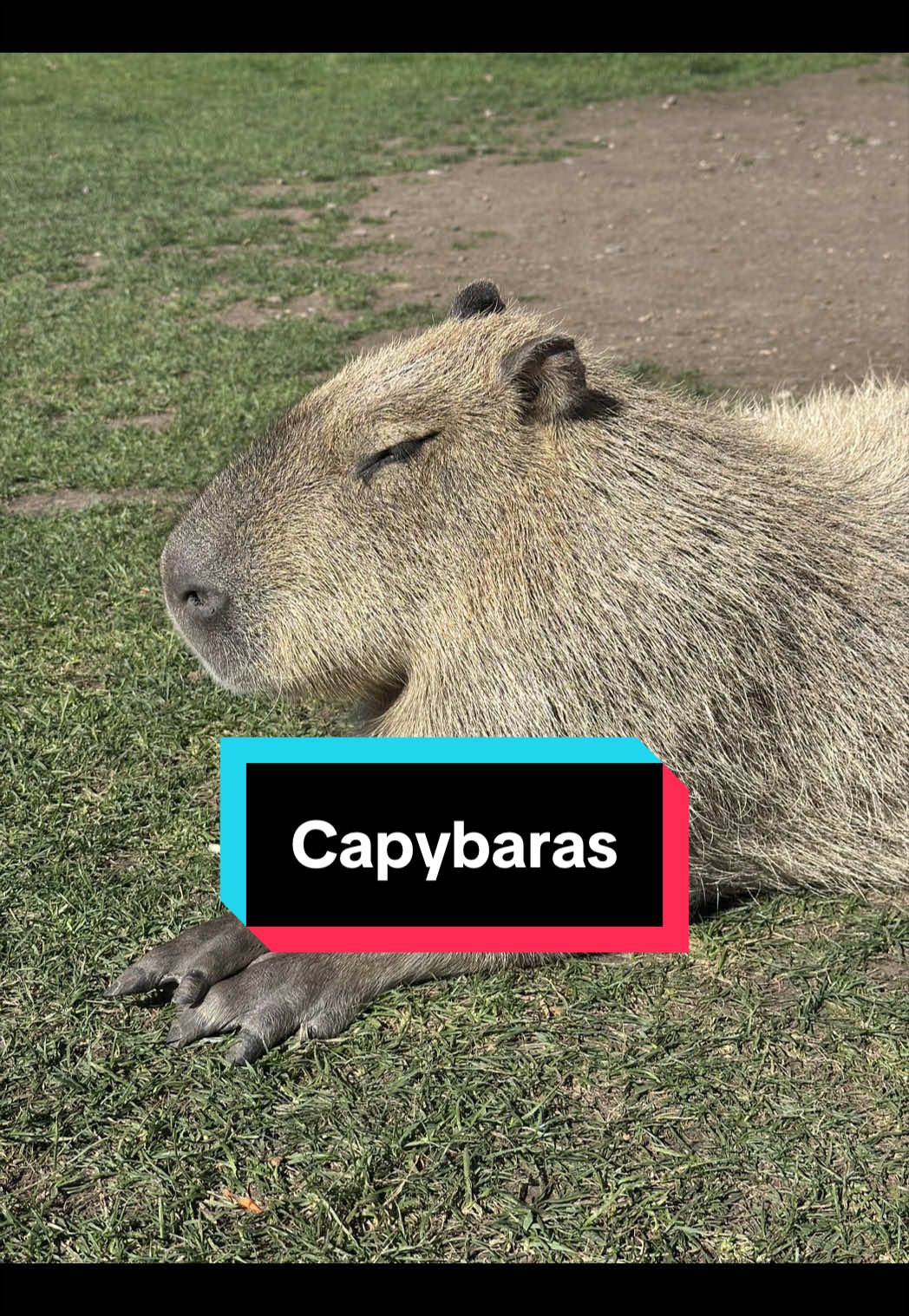 @YveBarthy