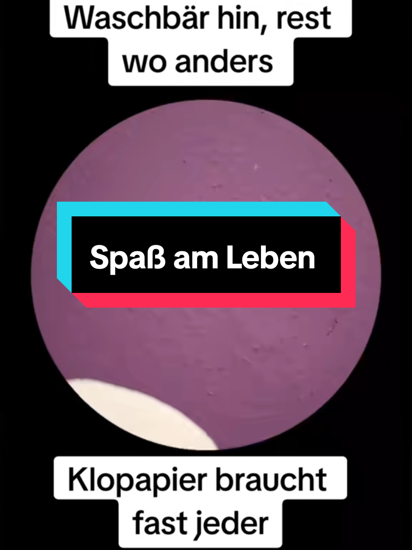 @Frank"s Reisen TeamBrunoFrank