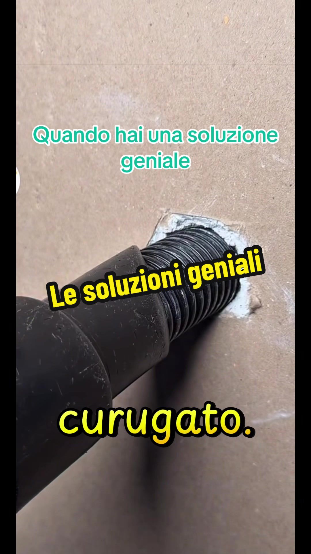 @Alessandro Cuomo ♌️