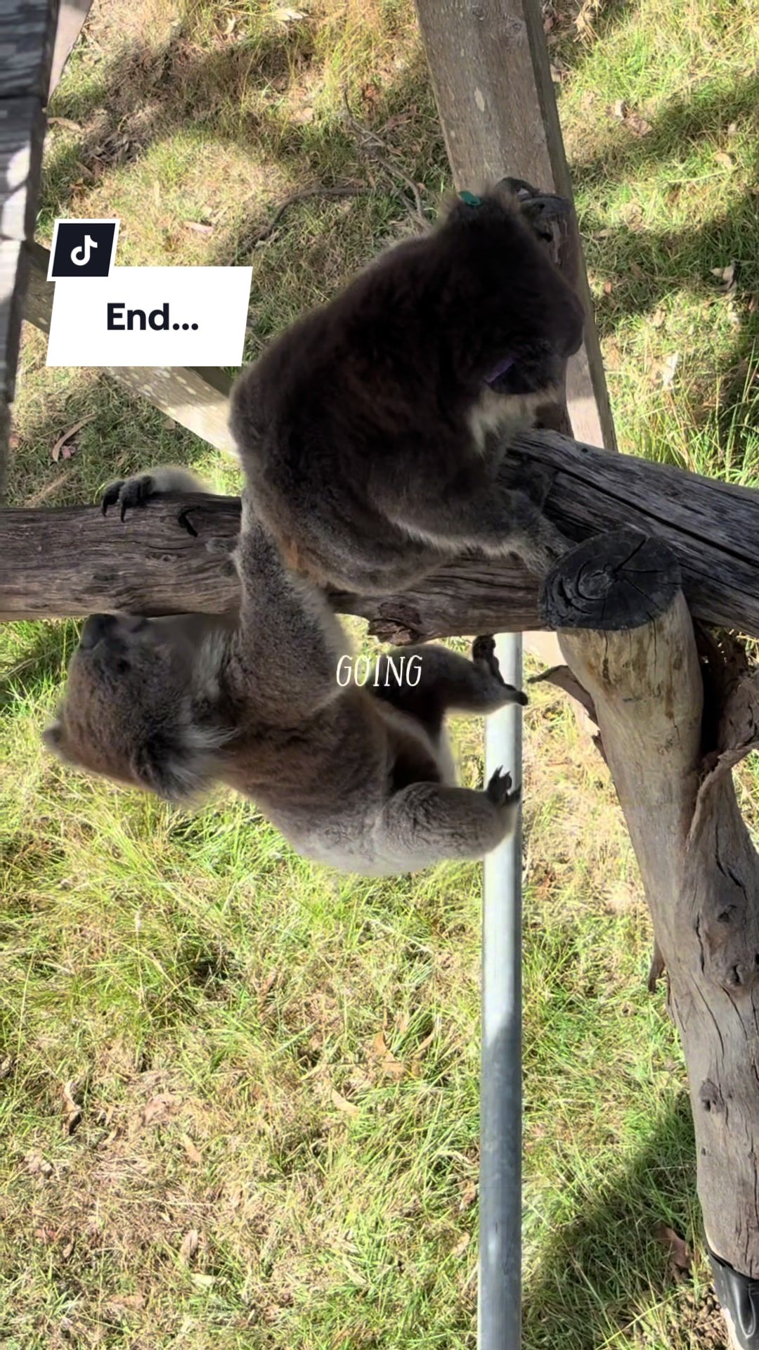 @Lara 🌞