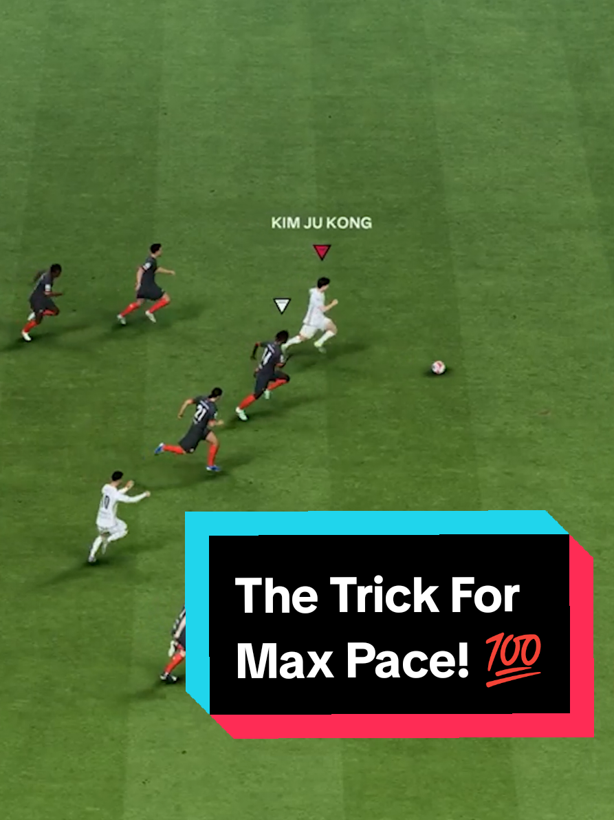 @THE GUIDE - FC Coaching