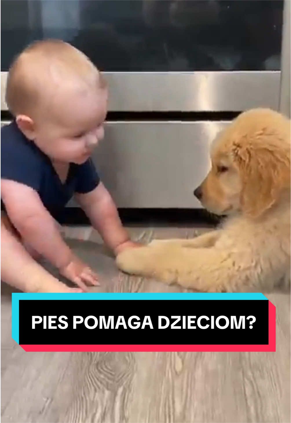 @pandawojtekyt