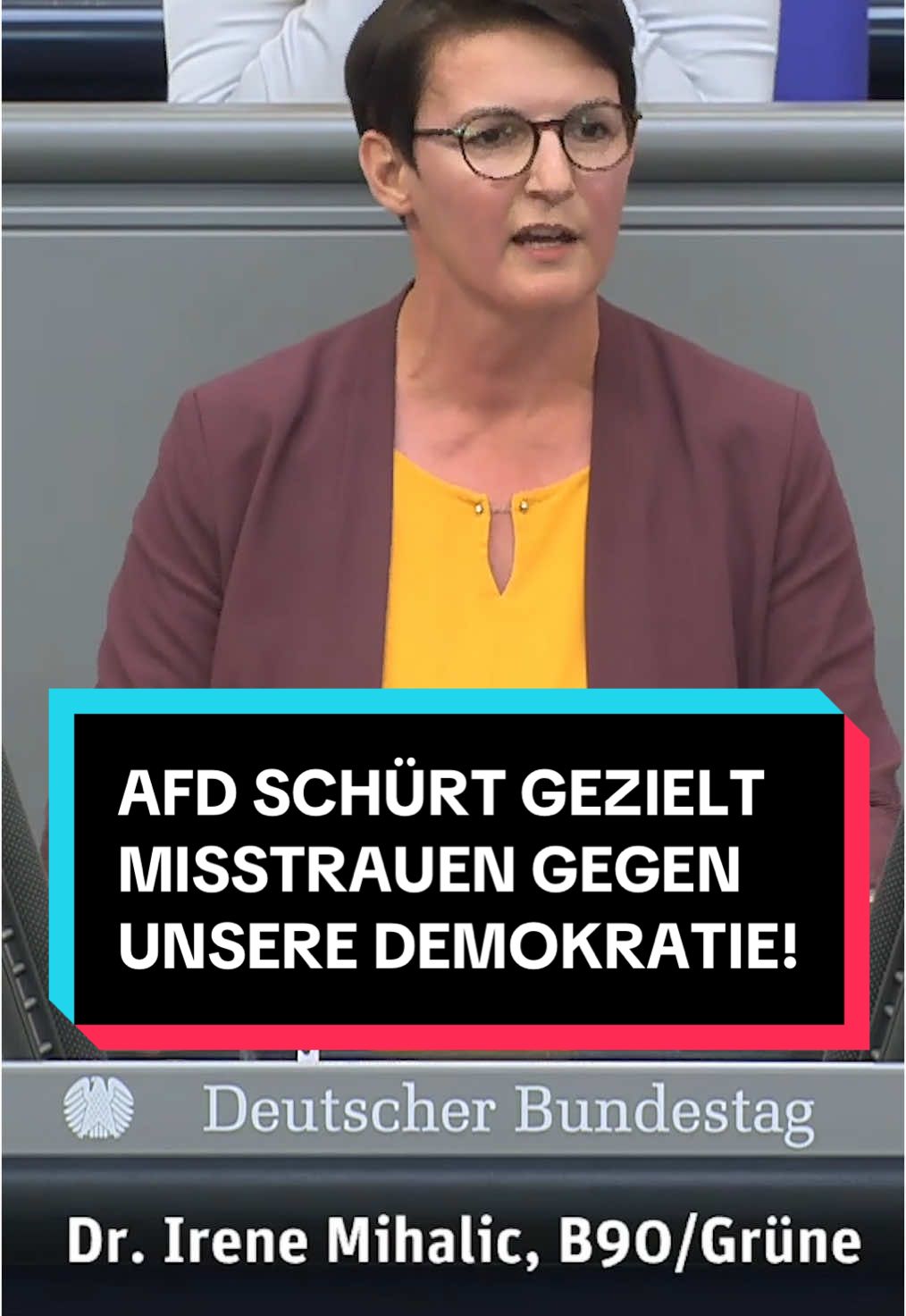 @Grüne im Bundestag
