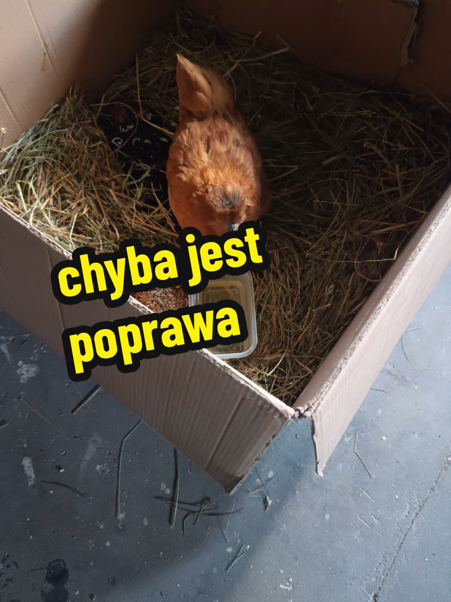 @Marcin ogrodnik