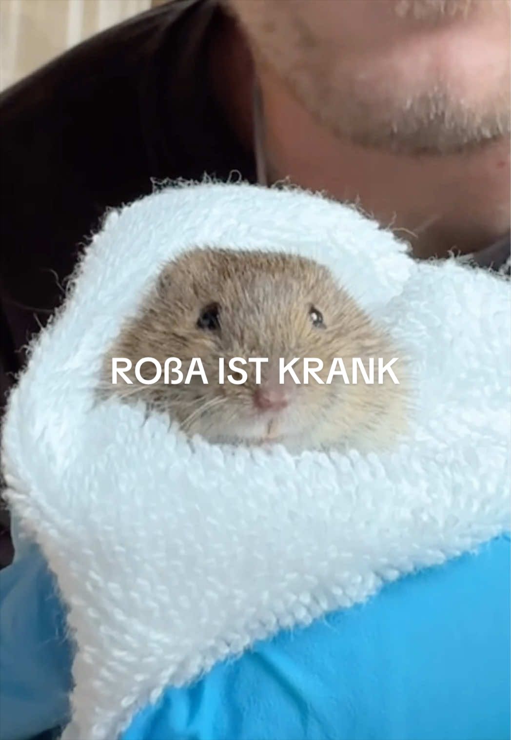 @Malte Zierden