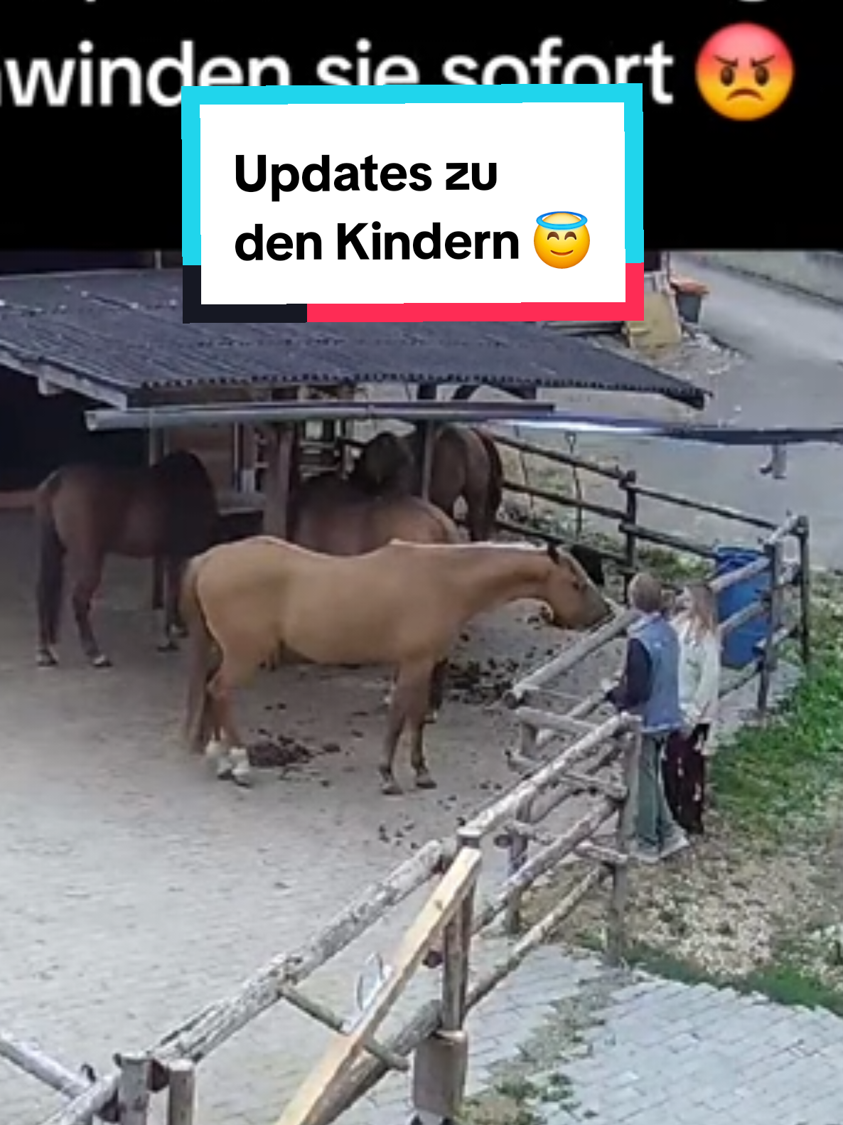 @🤠 Cowboy.HDH