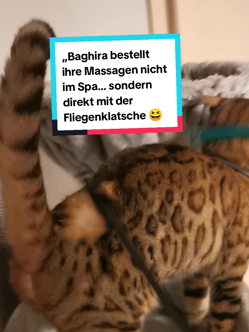@animalslover