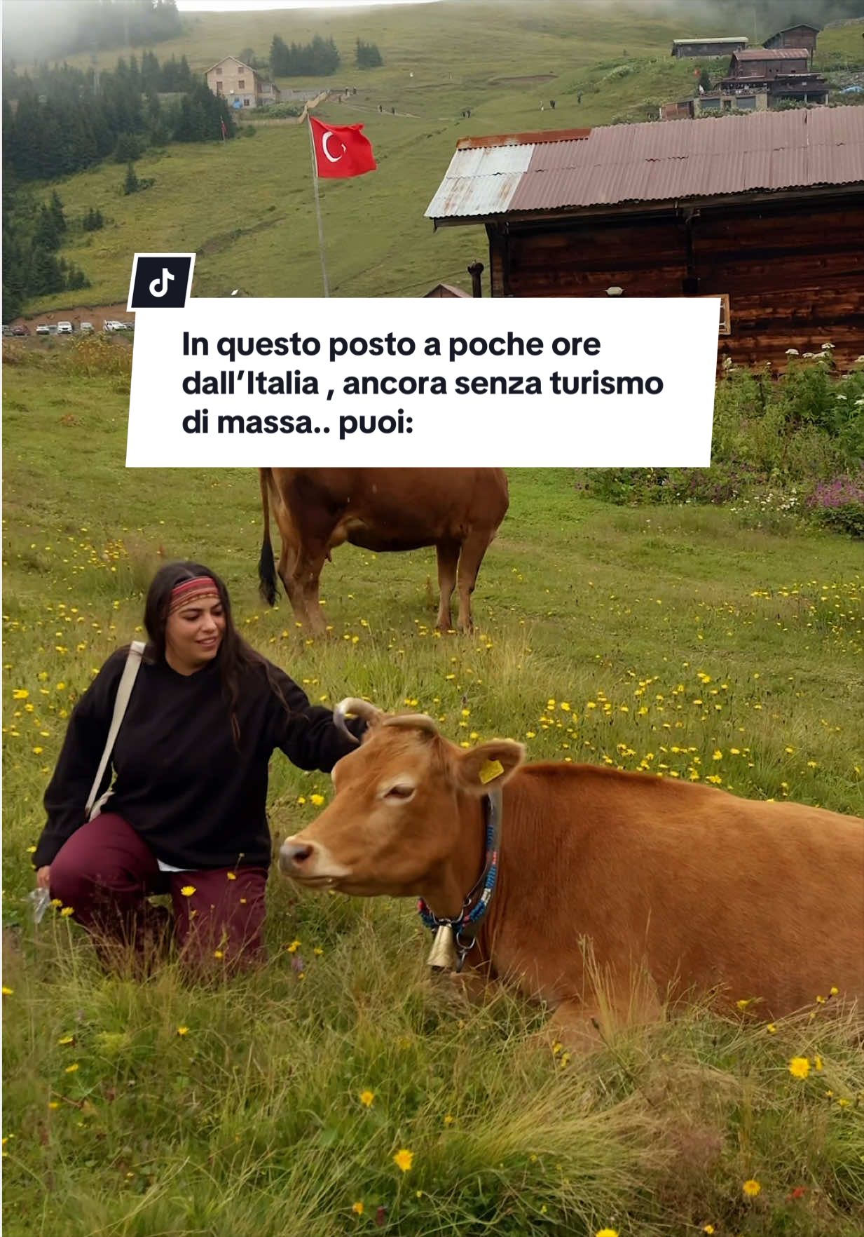 @Carmen Aprile