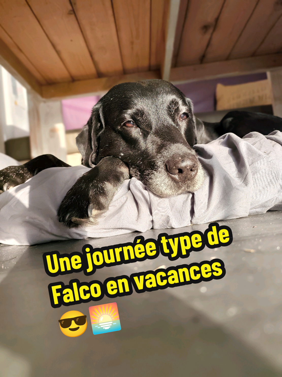 @Avec mes âmes libres