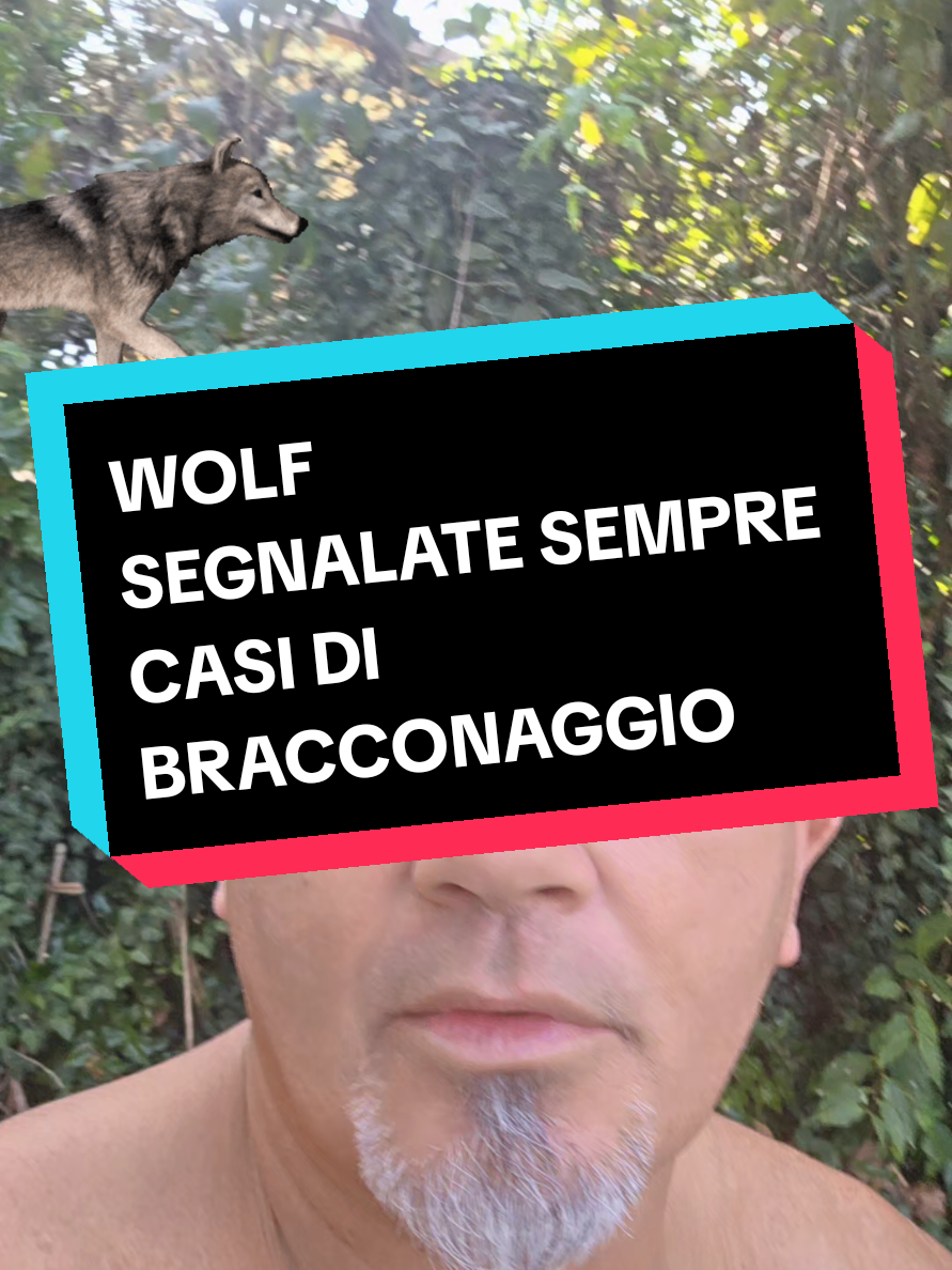 @Cristian Carbognani