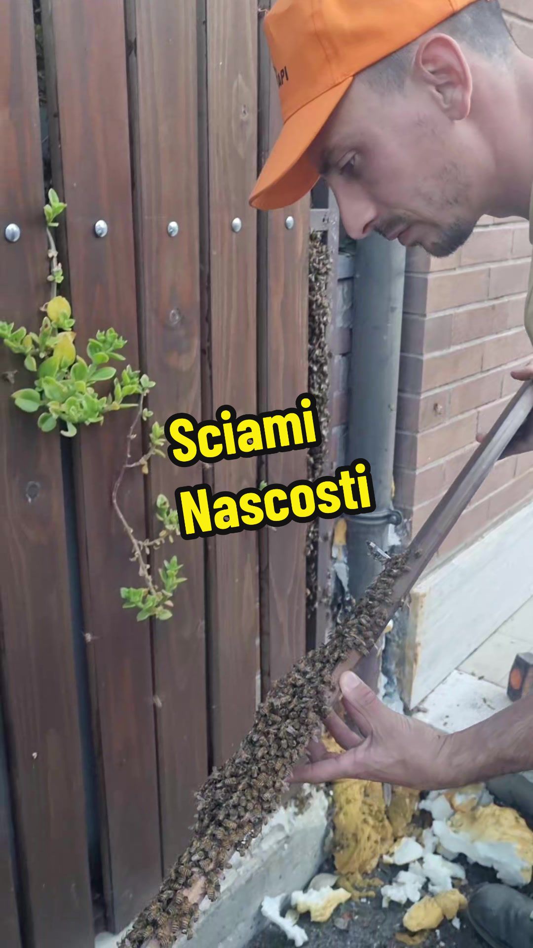 @Daniel Palmieri