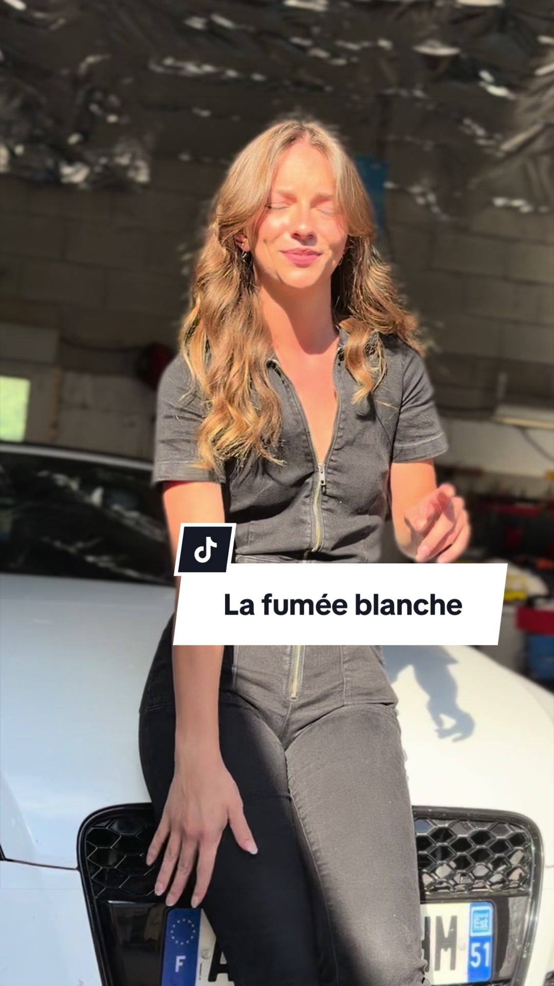 @La m&eacute;canicienne