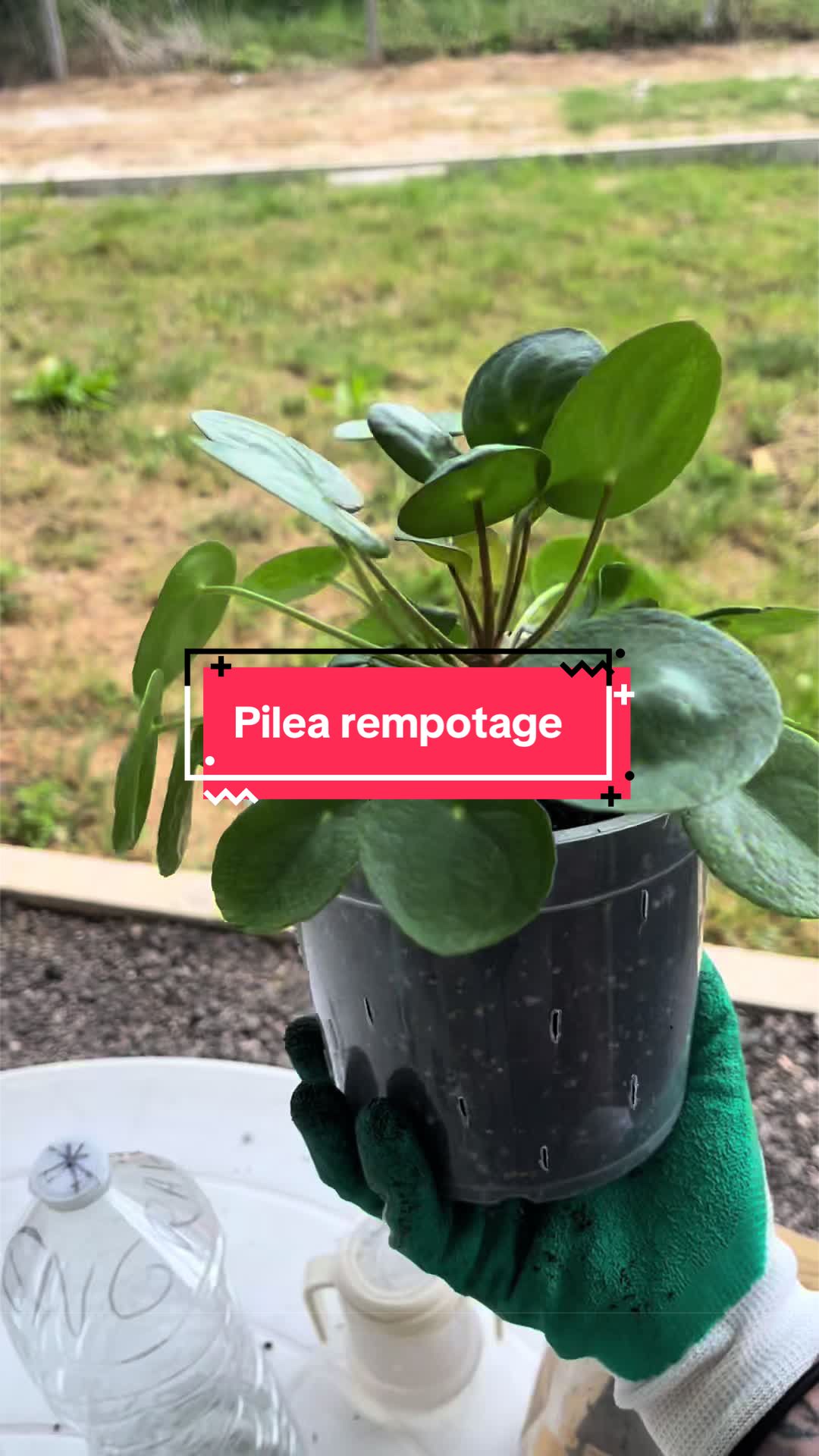 @Ana Rita Costa 🇵🇹