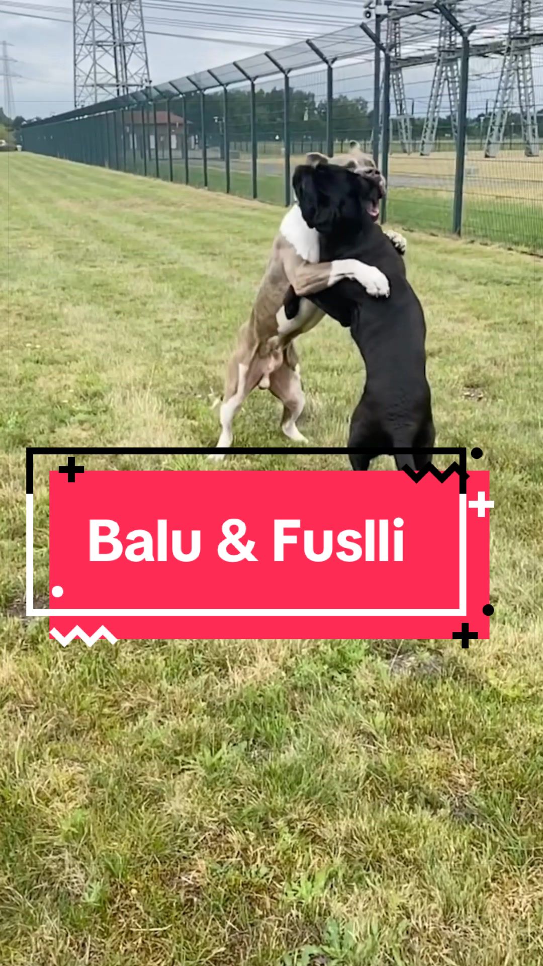 @XXLBALU