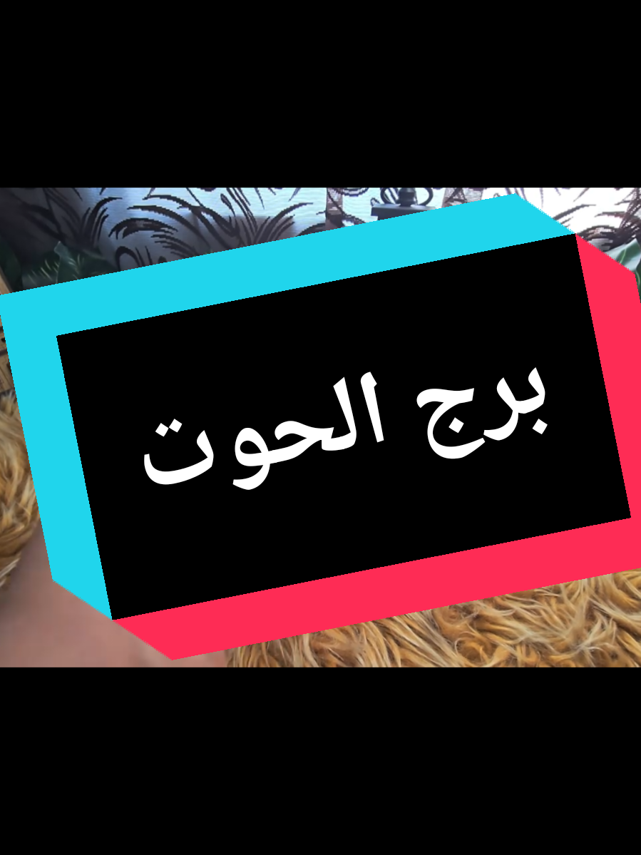 @تاروت المعجزات@