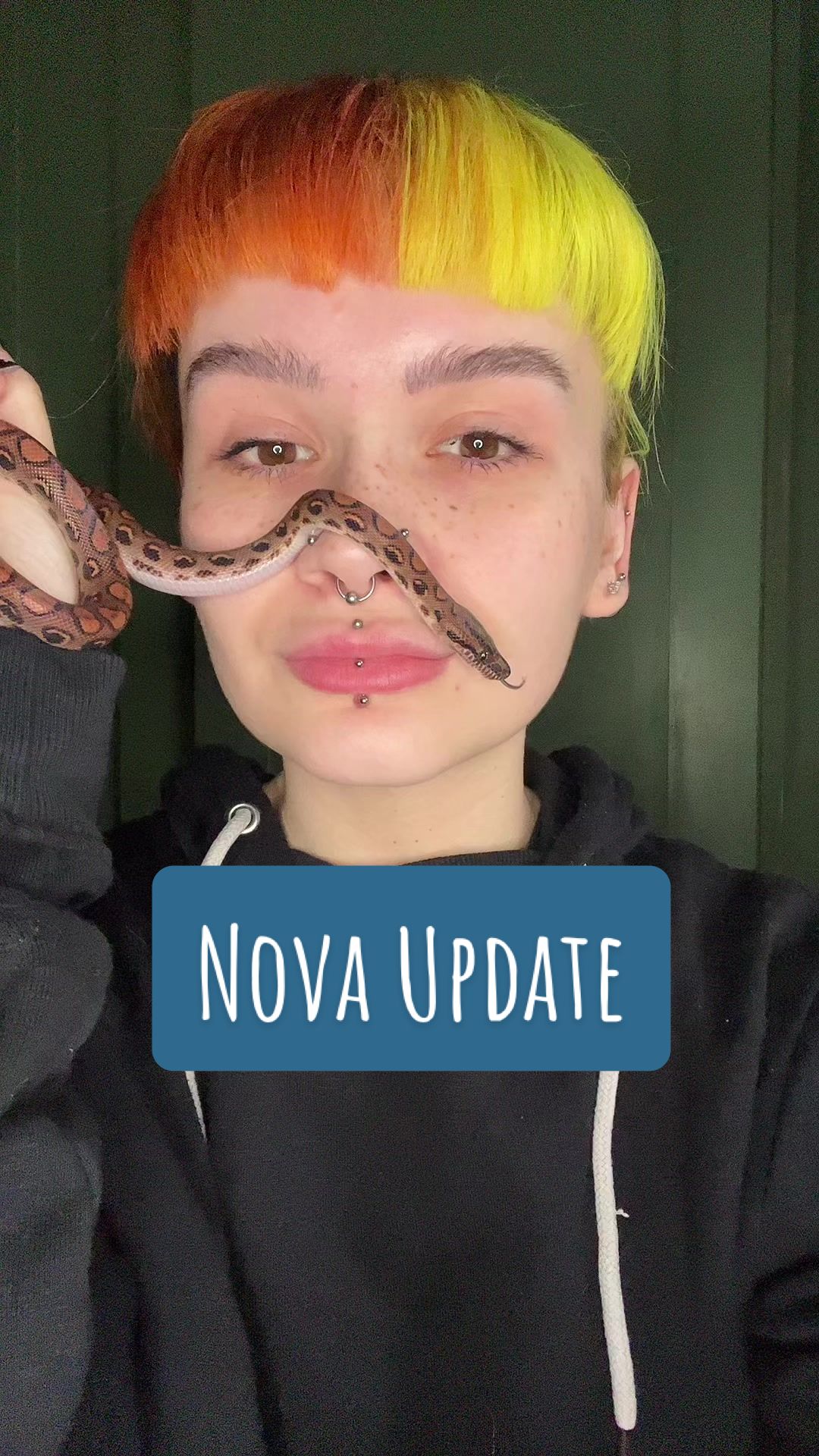 @Rosie&ensp;🖤🐍🦎🕷️