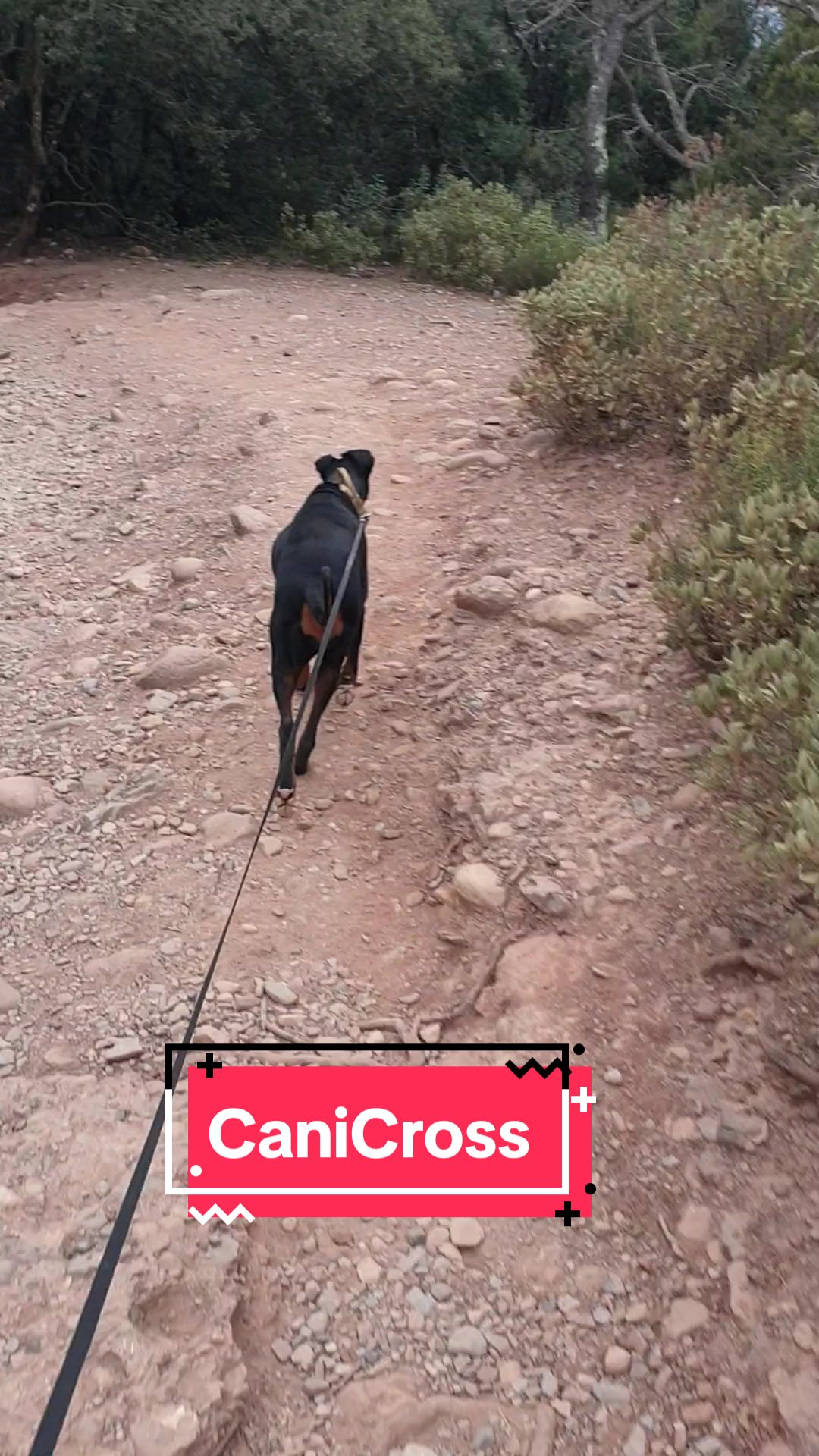@CanTak