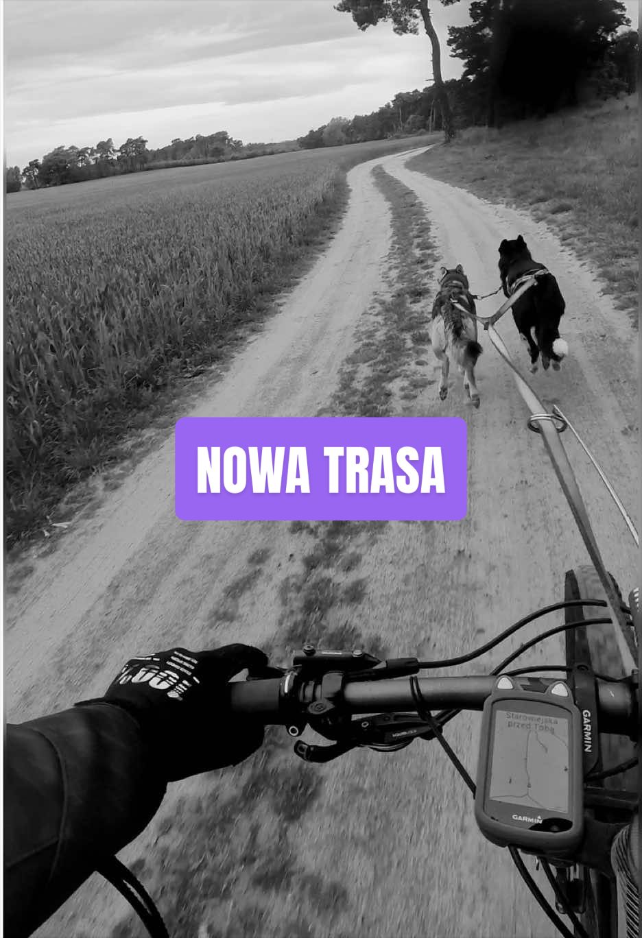 @Agnieszka Ignaszak bikejoring