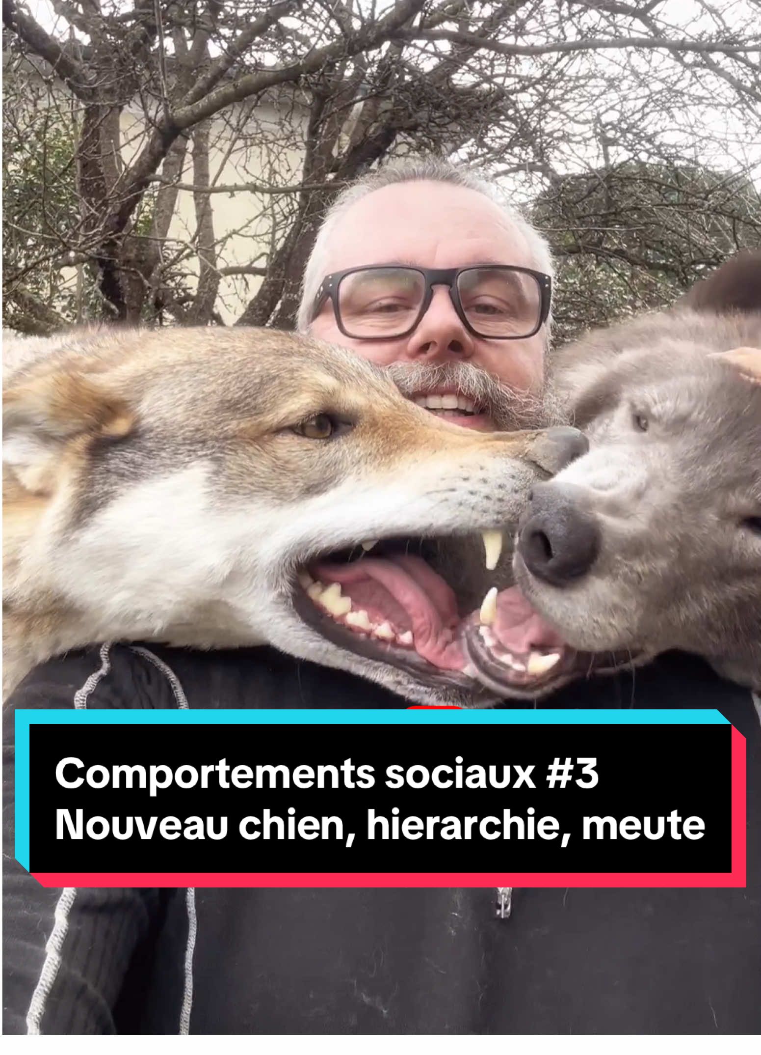 @🐺 Ragnar_et_sa_meute 🐺