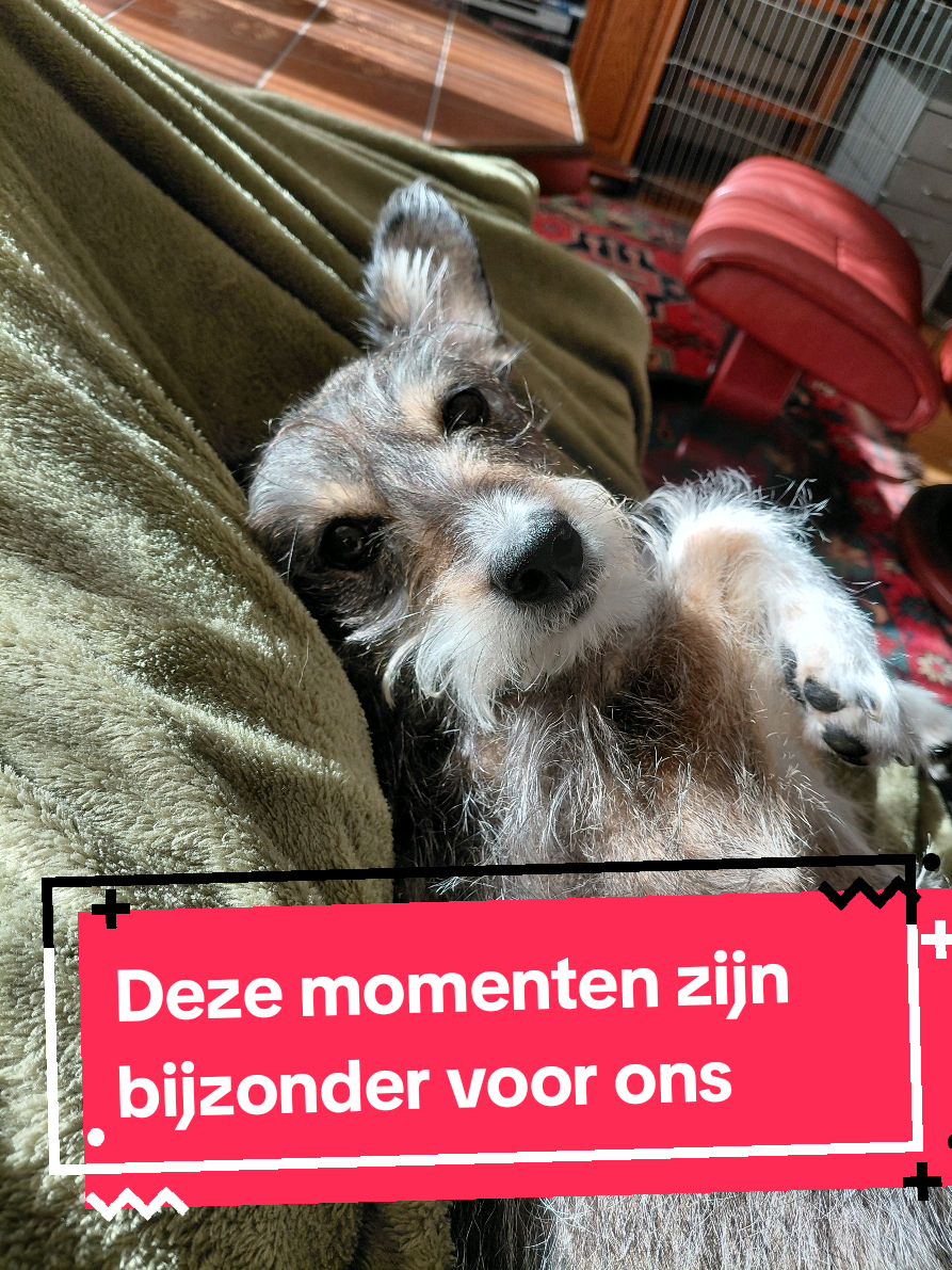 @Safrina's wereld