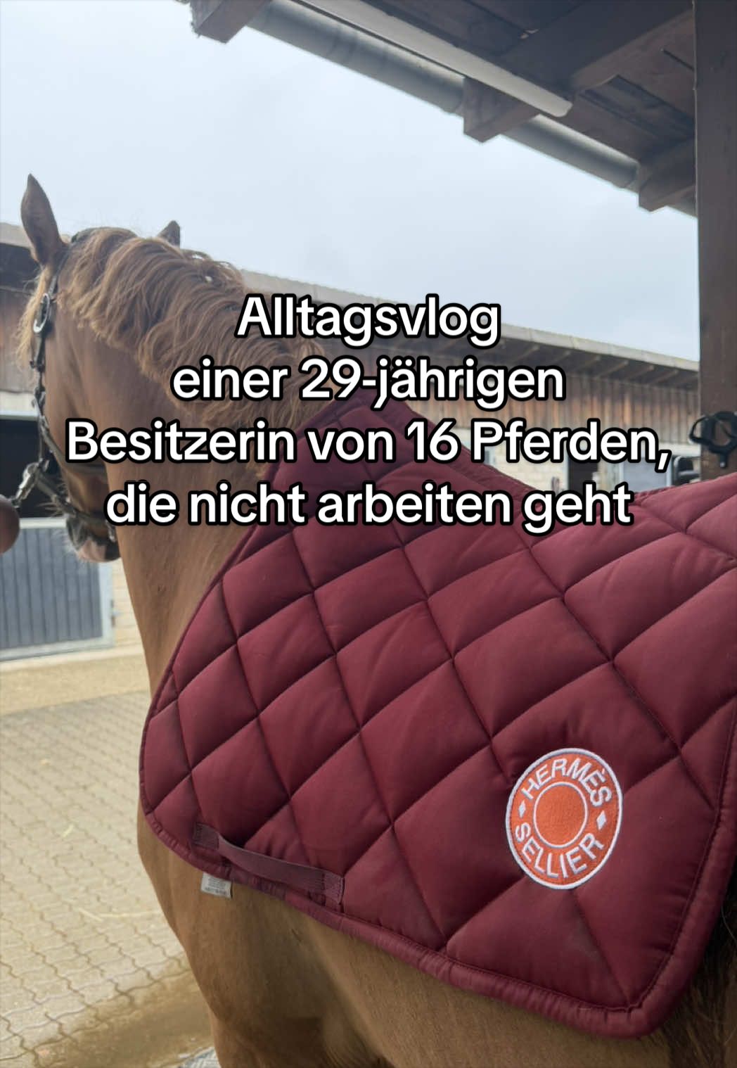 @Sophia • SL Reitschule