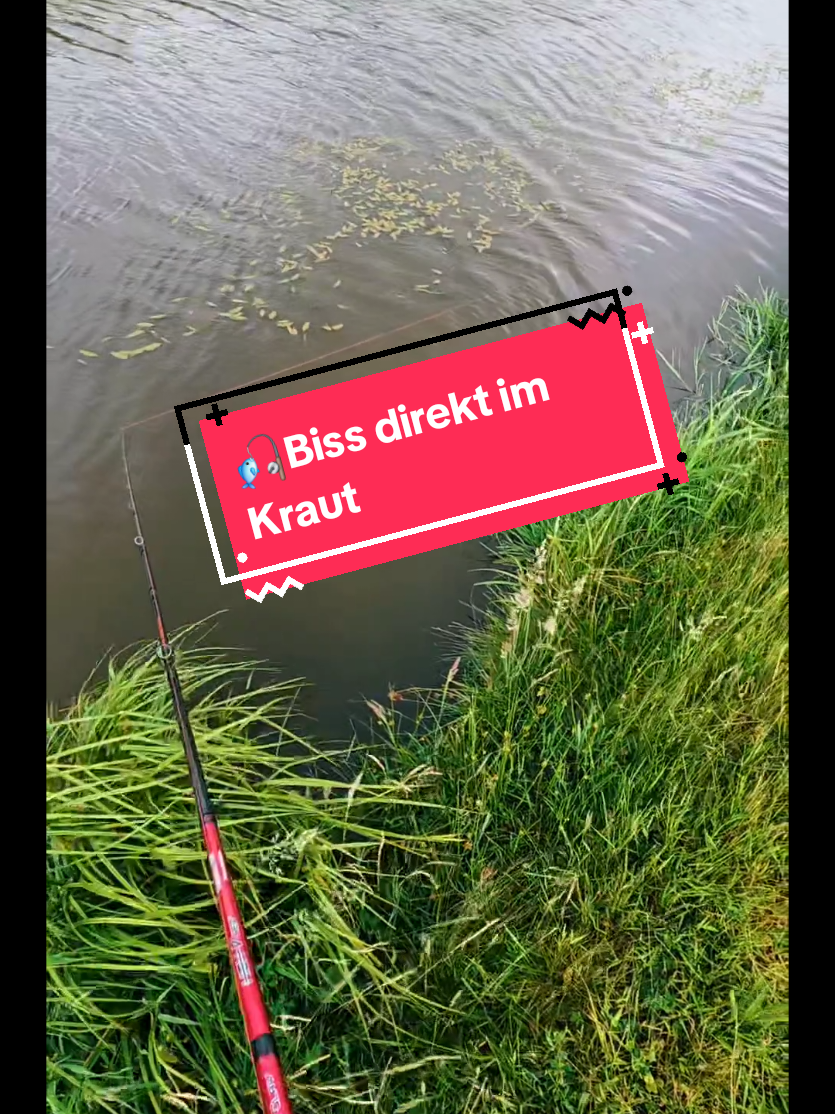 @Iron Claw_Fishing
