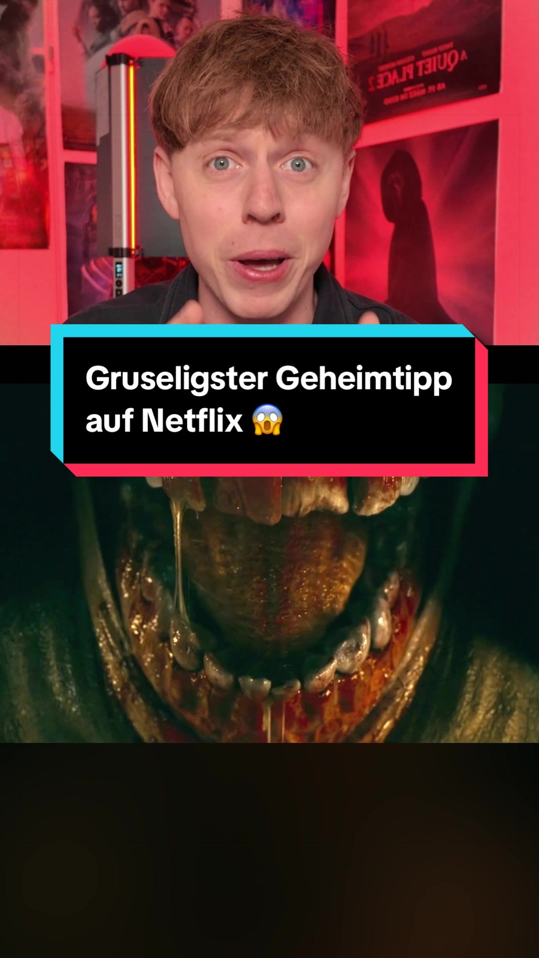 @nikflixplus | Niklas
