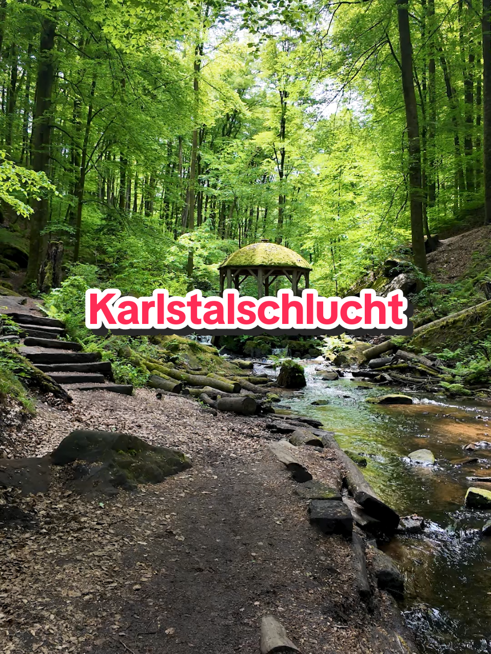 @Am Puls der Natur