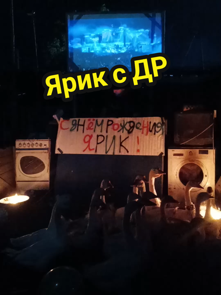 @Гусиные поздравления