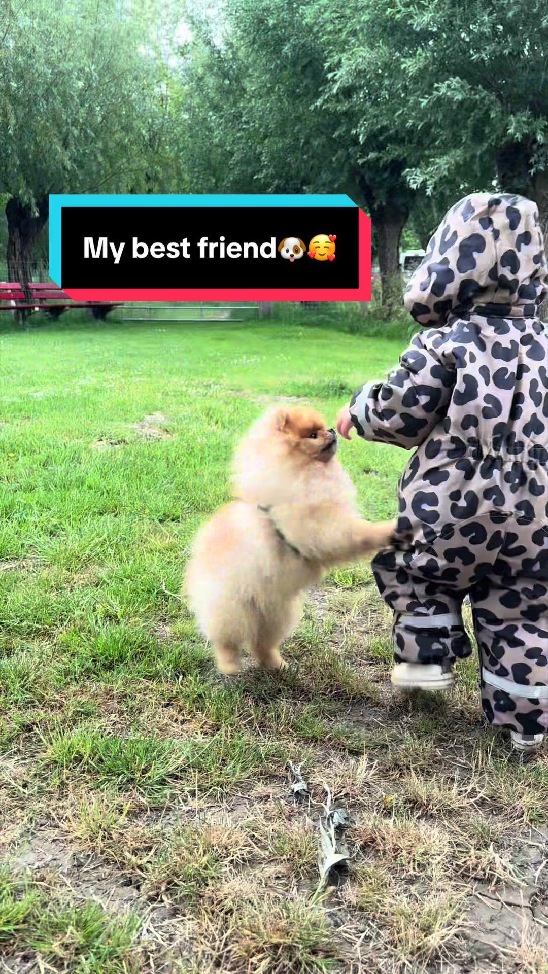 @yoshi.thepom