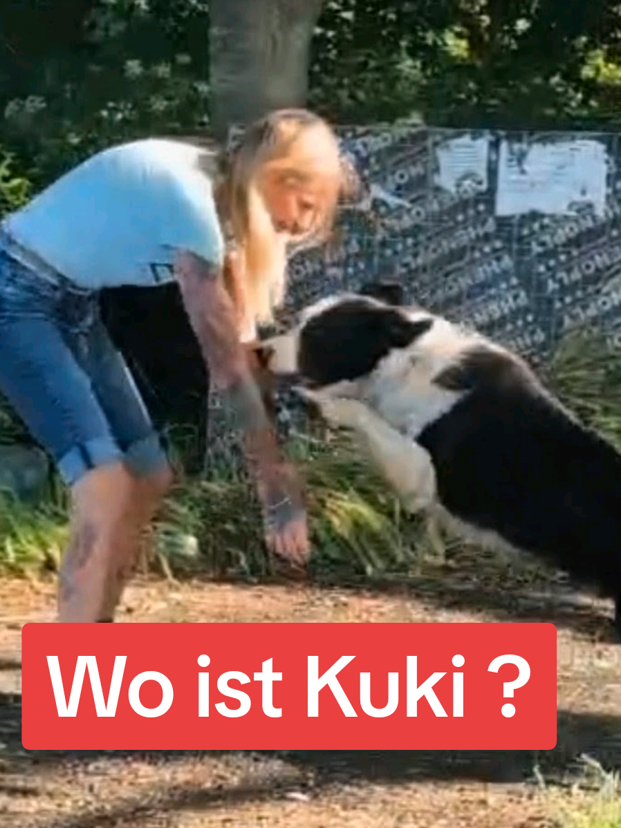 @ShelterBande