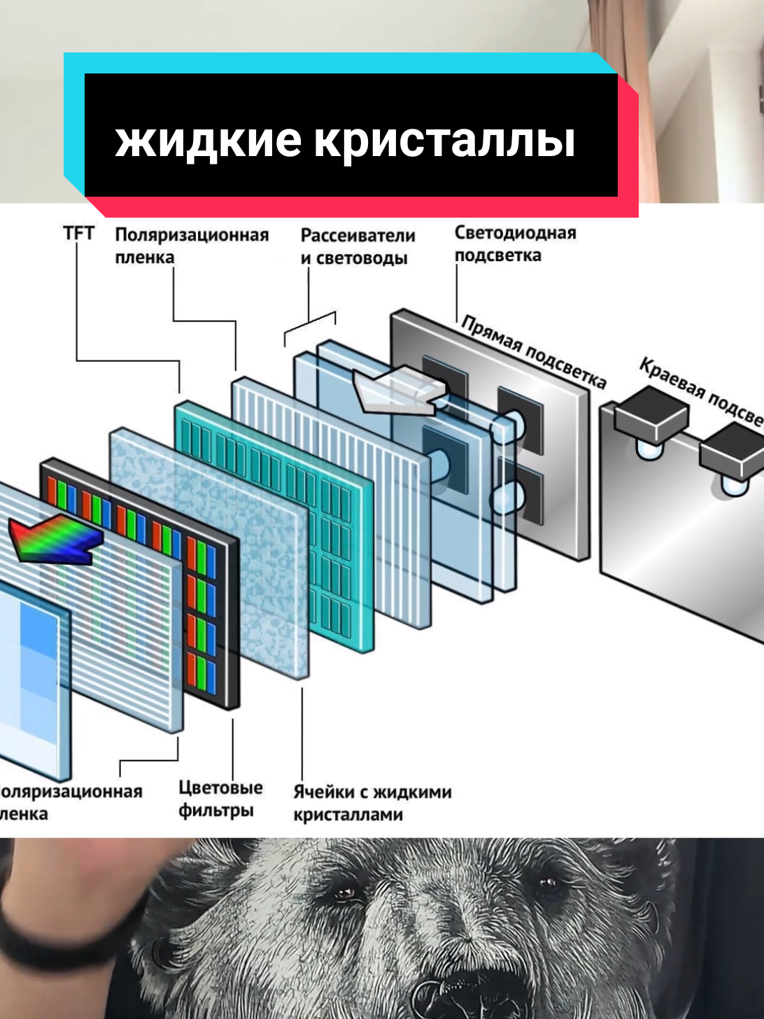 @чопокомпик)