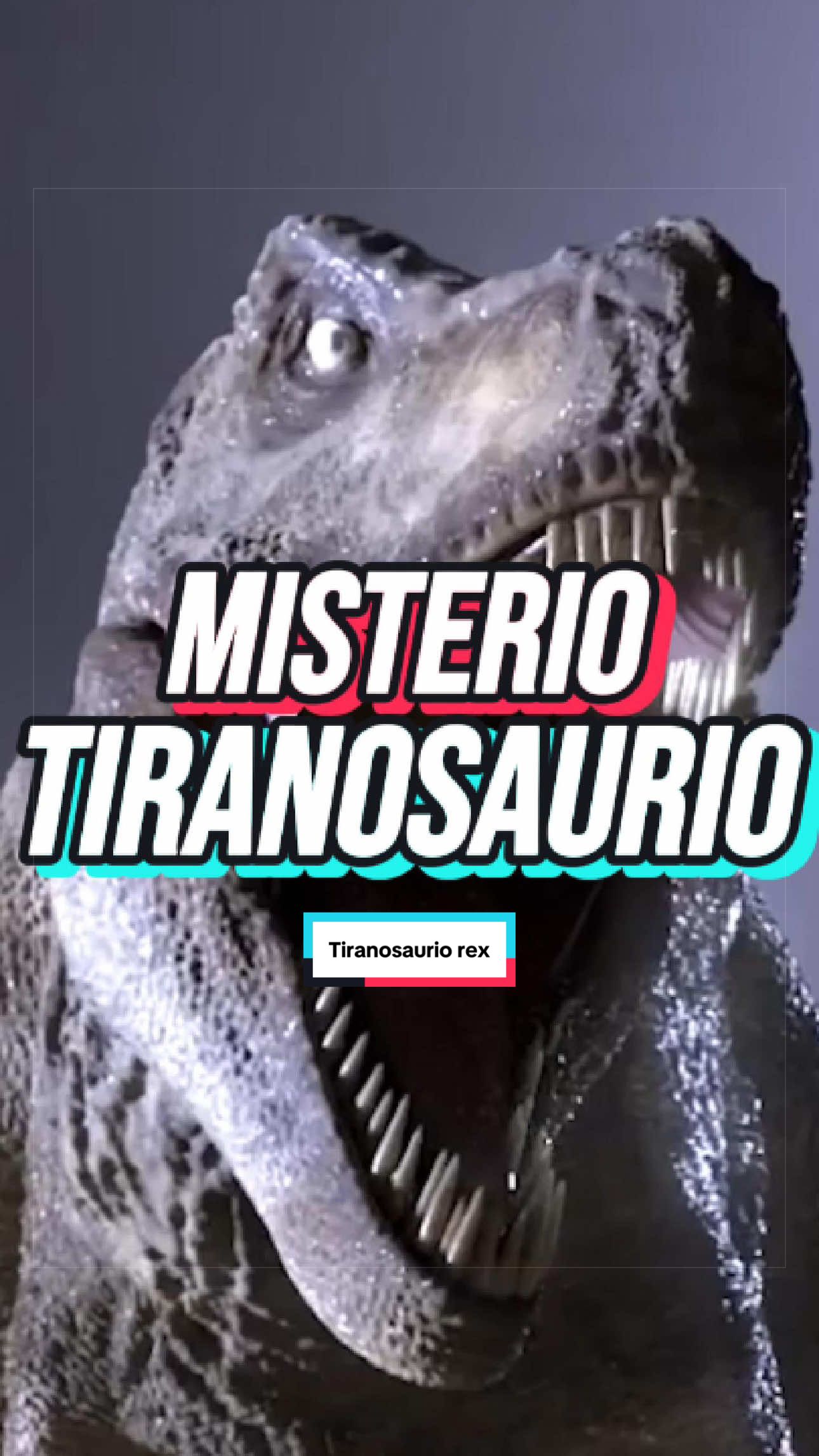 @ArchivoXtra&ntilde;o