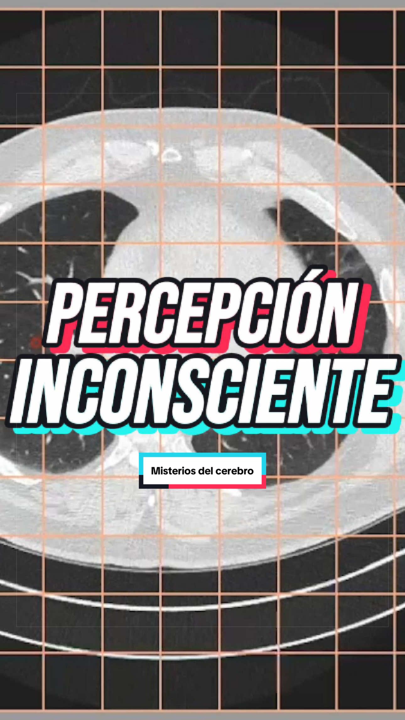 @ArchivoXtra&ntilde;o