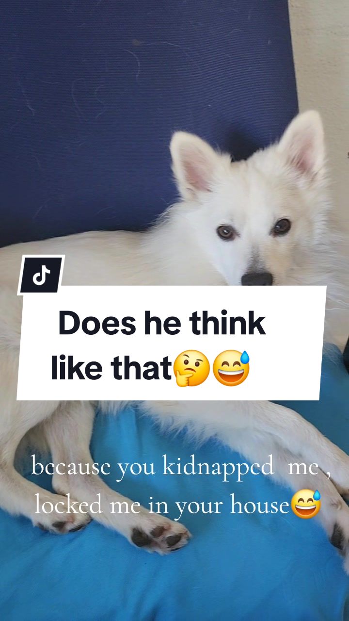 @TheWhitePrince👑