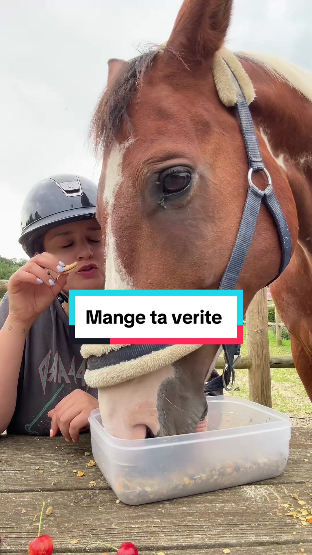 @Cavalière de Grand Pré 🎠