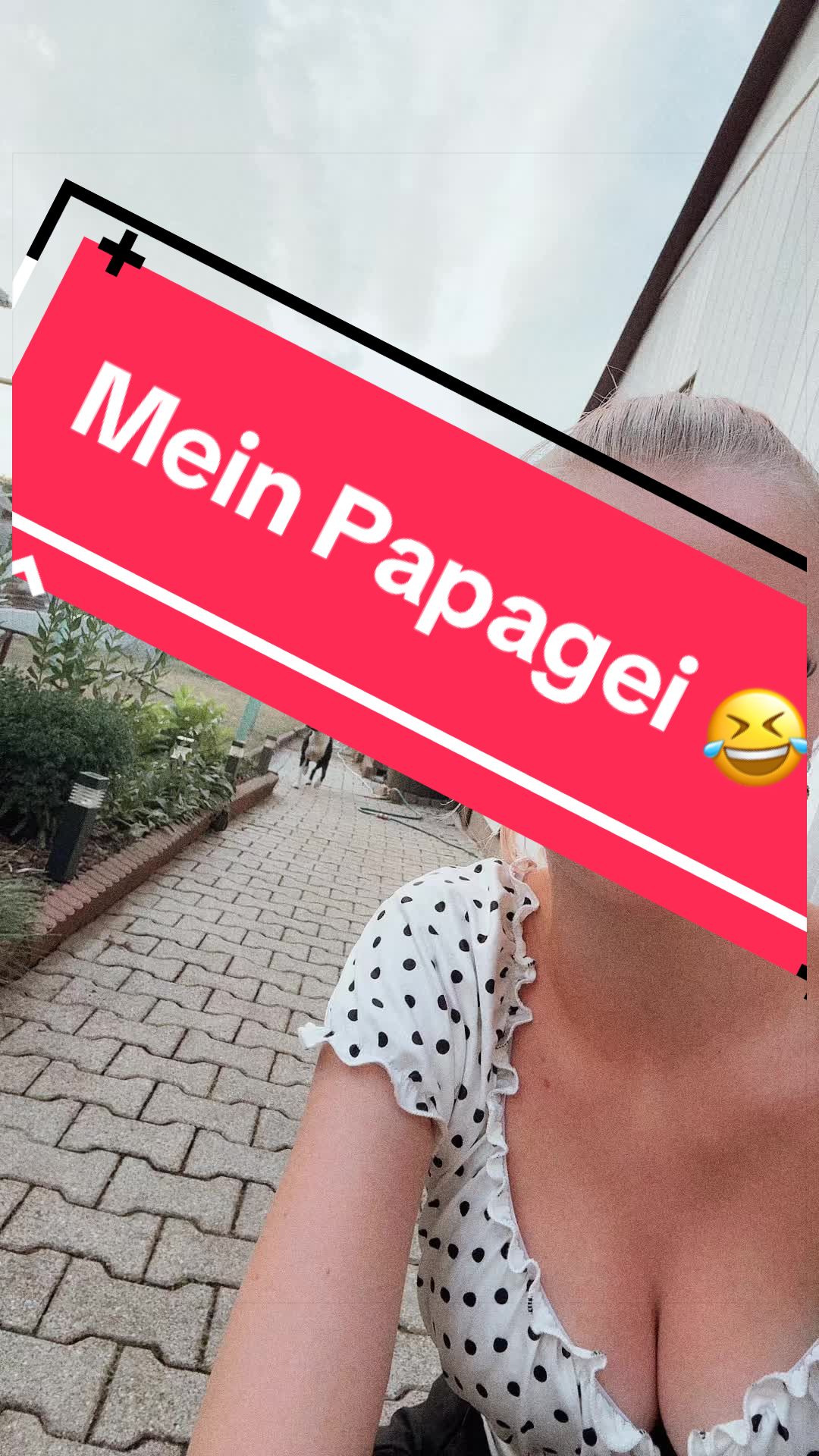 @🌸Sarah 🌸team-Fauly🦥