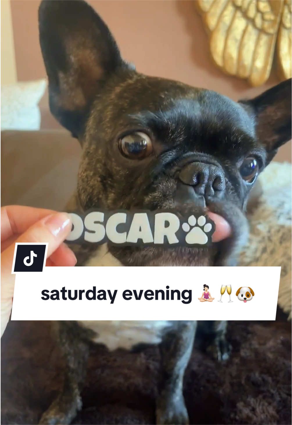 @Oscar ๐๐
๐