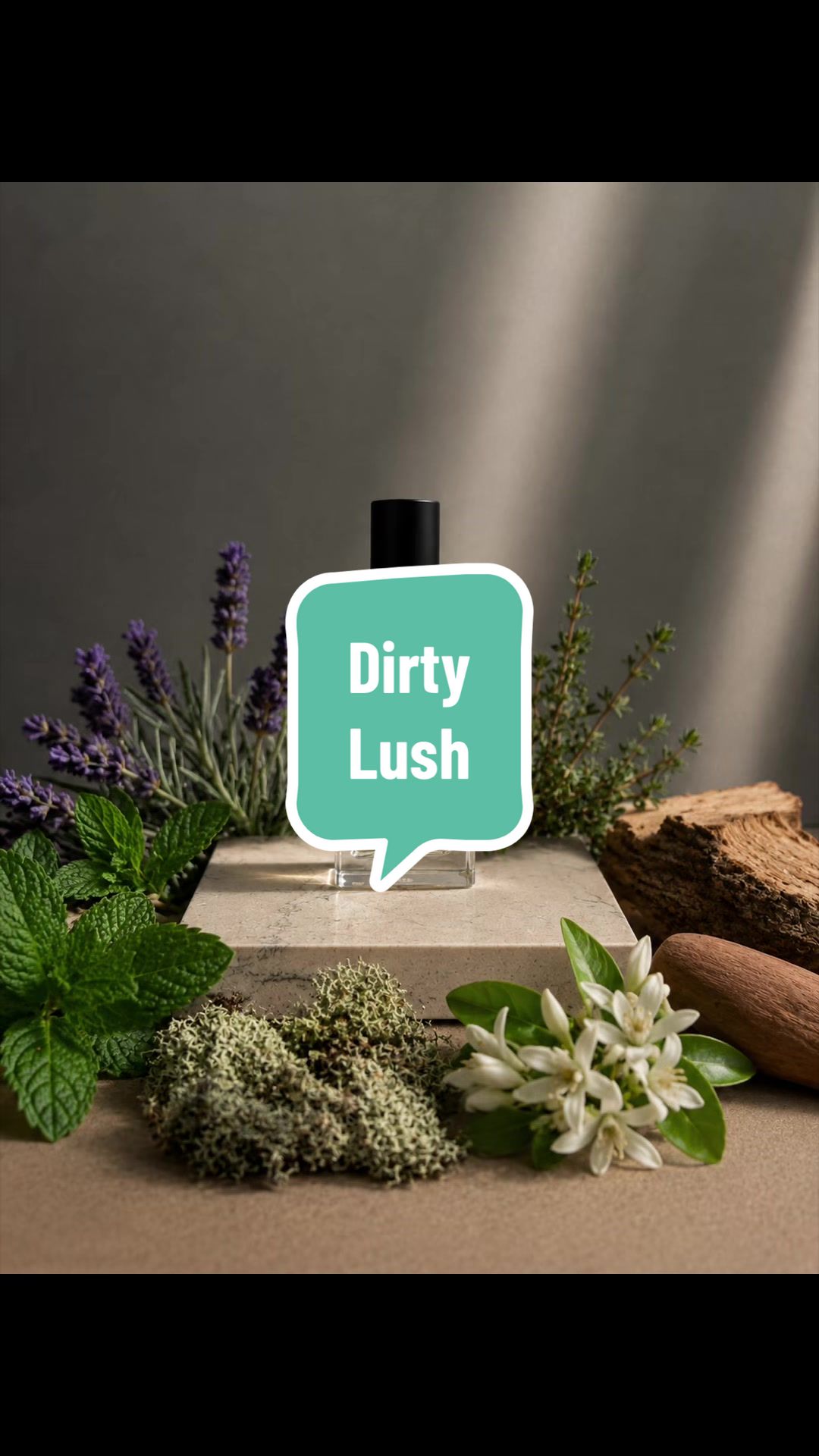 @Addict Perfumist Vava