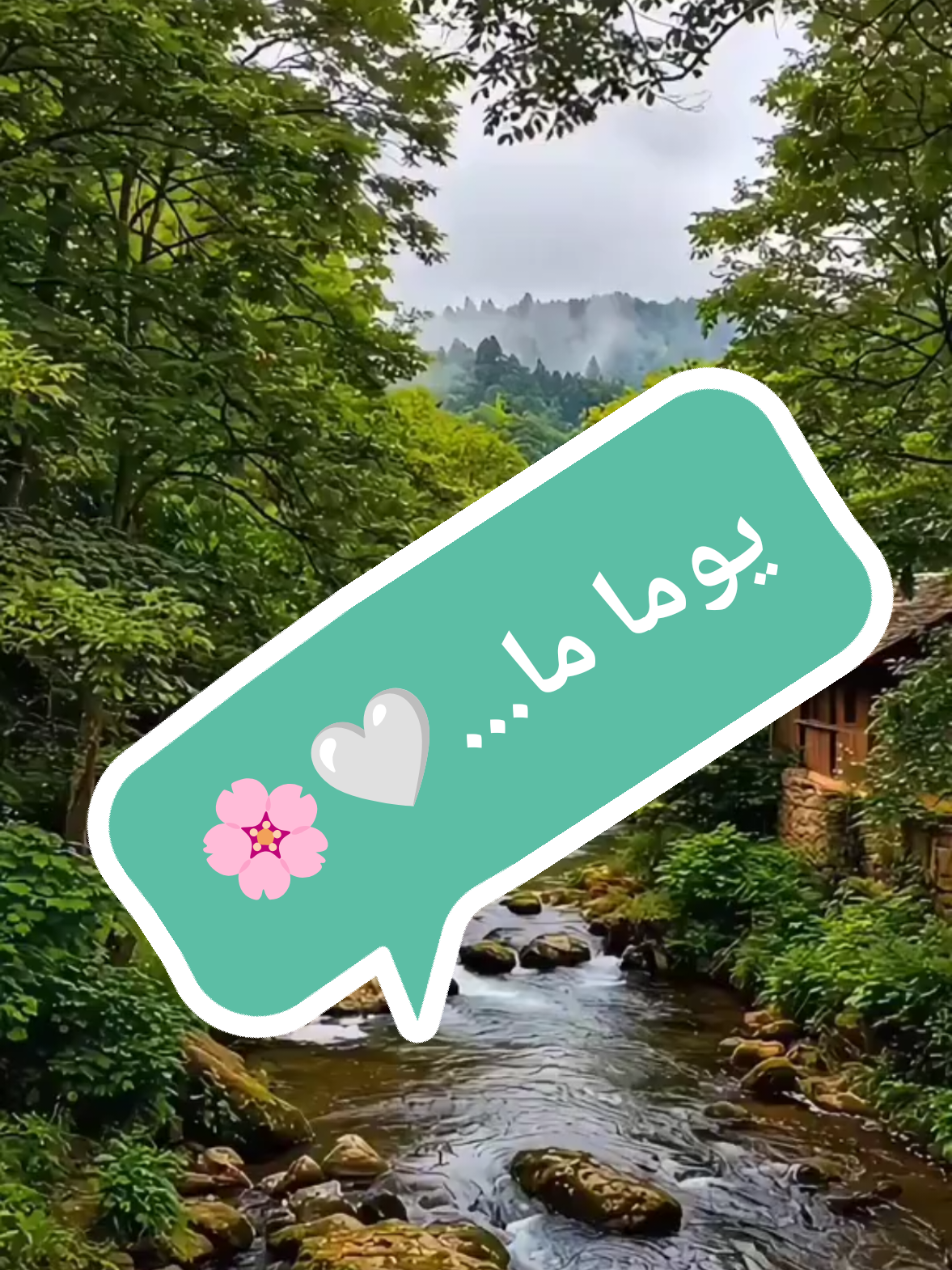 @صدى الصمت 🌸