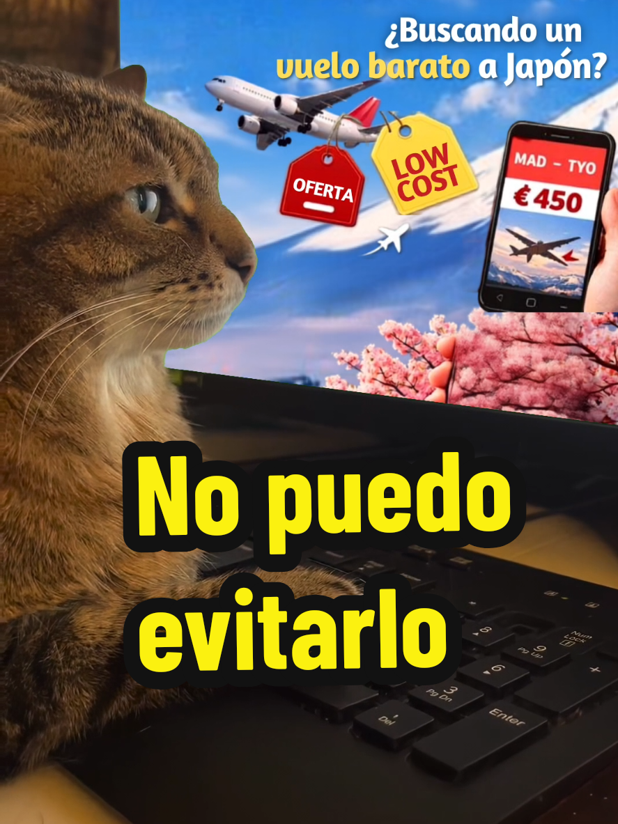 @Jota de Viaje