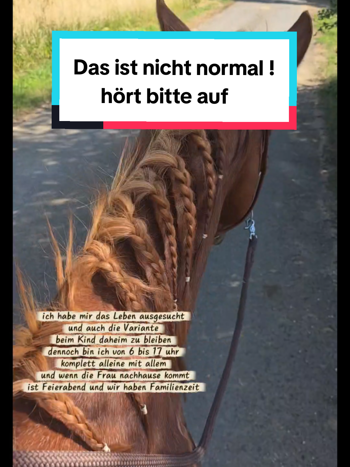 @🤠 Cowboy.HDH