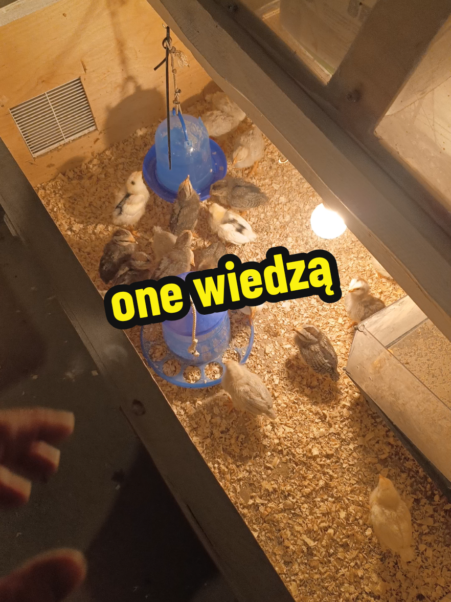 @Marcin ogrodnik