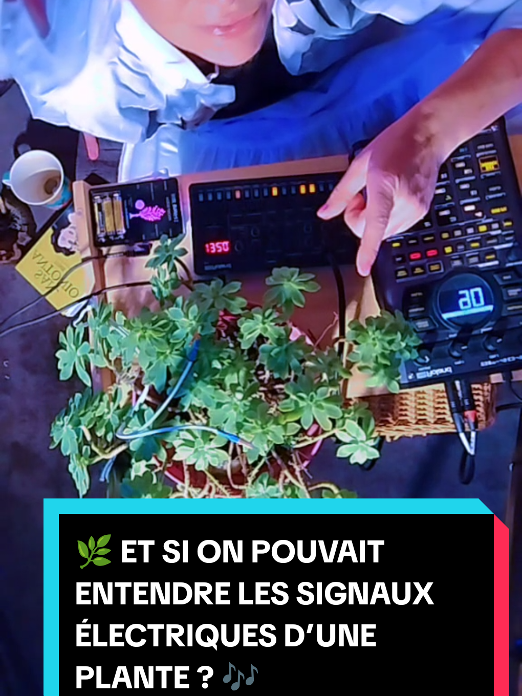 @Dr Free Fréquences