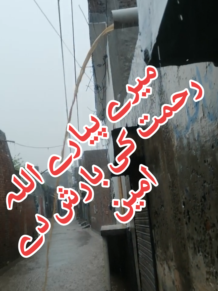 @Malik Rashhed