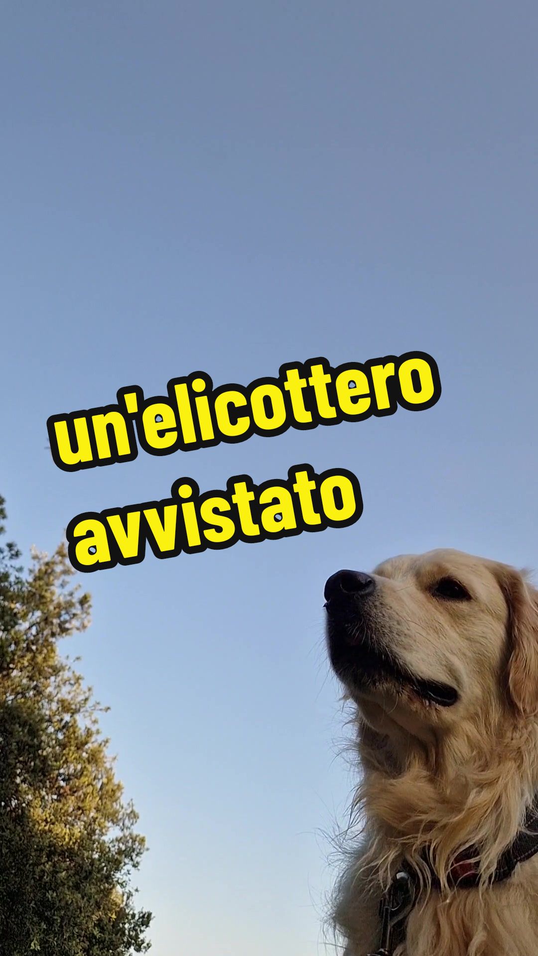 @Alessia Cascella