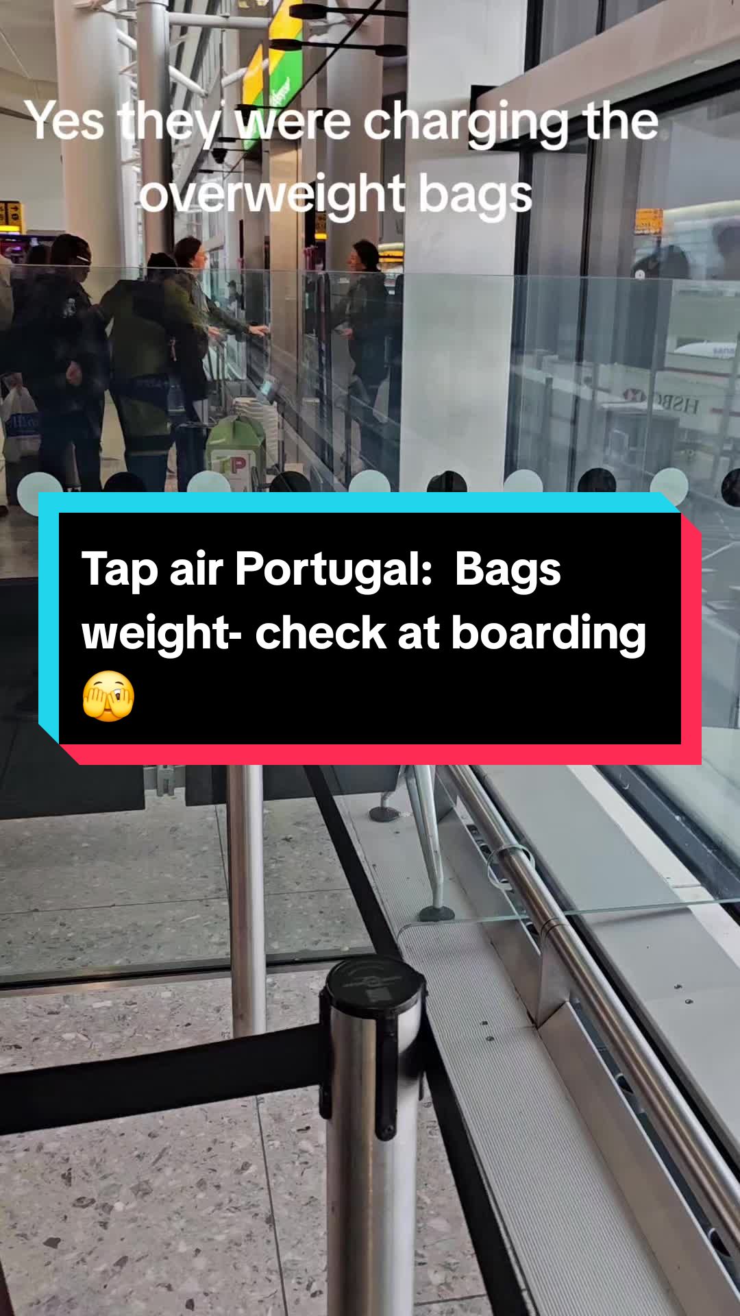 @msbeegrouptravel