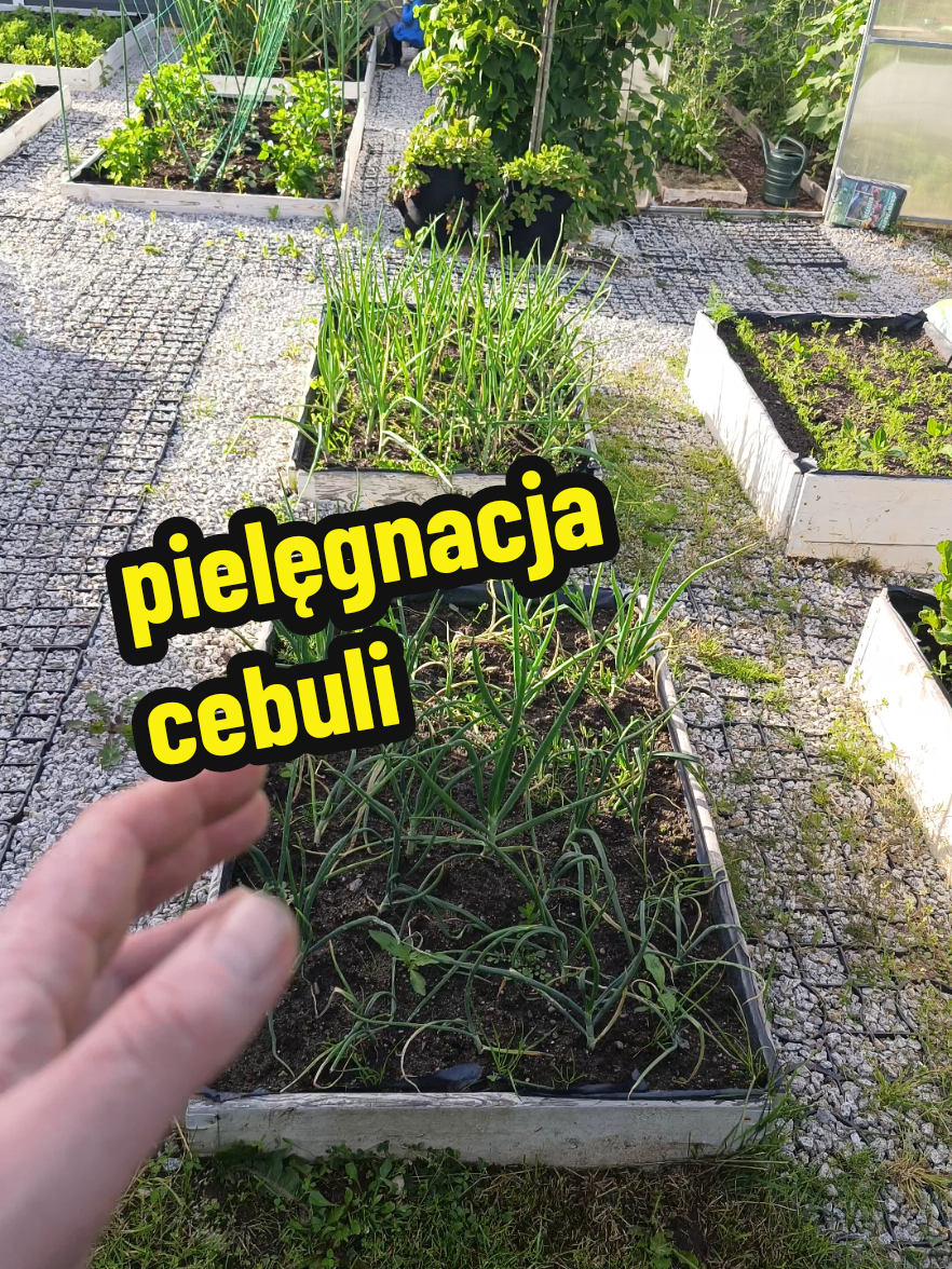 @Marcin ogrodnik