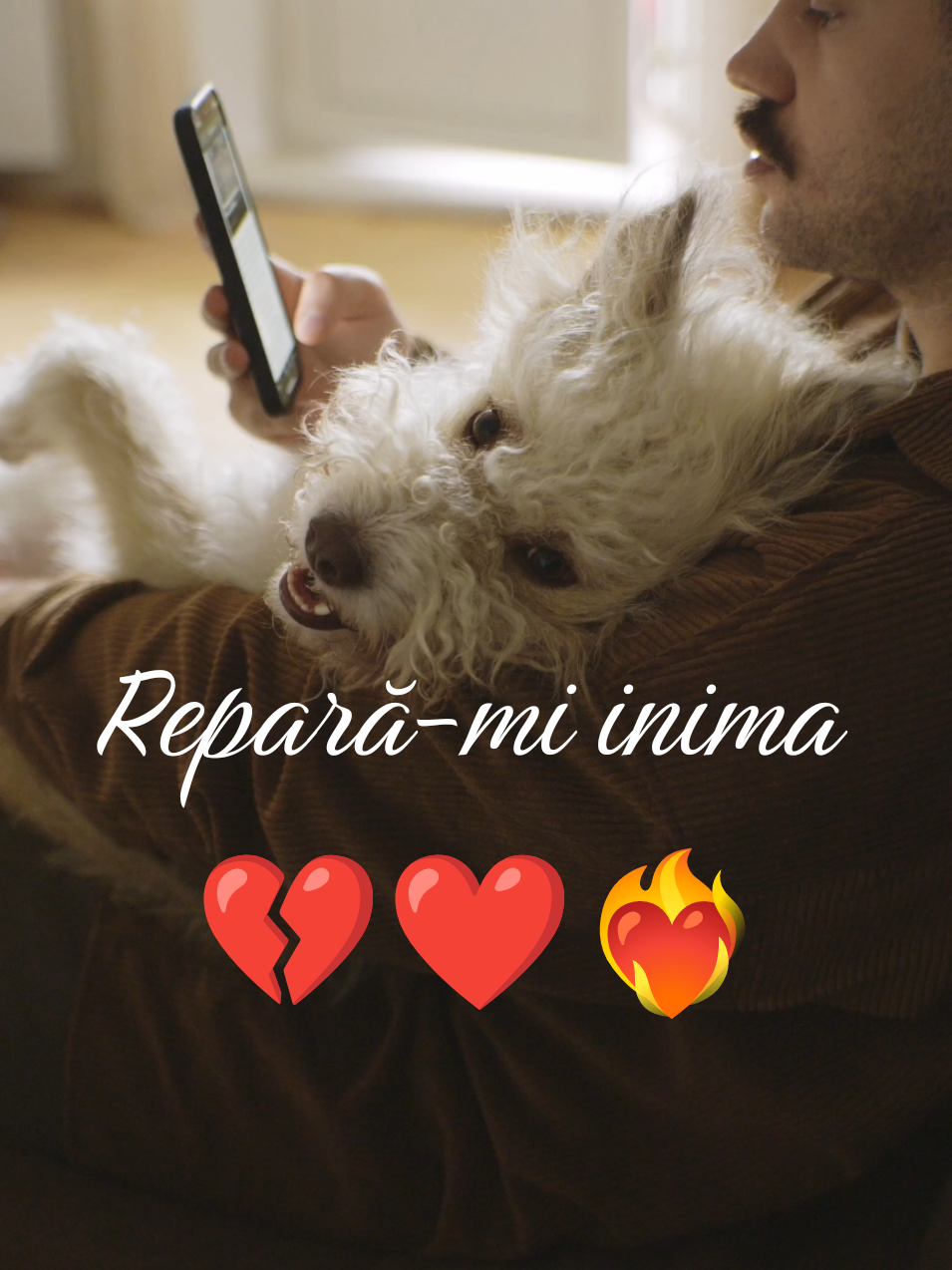 @✦𝓝𝓸𝓽𝓮𝓜𝓮 ♫ ✦