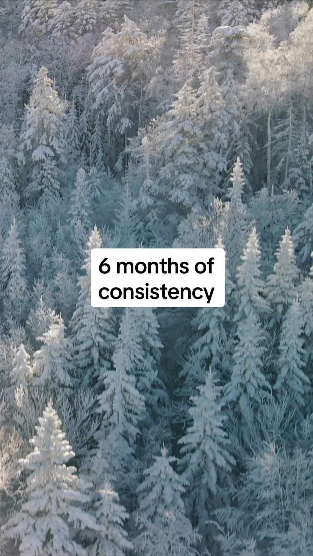 @TheOnePercentRevolutionary
